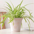 Vintage Boho White Terracotta Flower Pots, Breathable Clay Planters, Roman Decorative Pots for Indoor & Outdoor, Garden Planters for Patio, Balcony Home Décor (Vine, 20 * 18cm) - Image 4