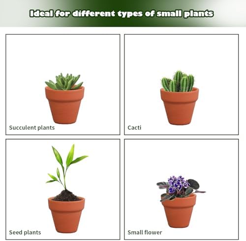 160 Pcs Small Clay Pots with Drainage Hole 2 Inch Mini Terracotta Plant Pots Planters Bulk for Succulent Cactus Flower Wedding Nursery Indoor Outdoor Craft - Image 6