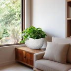 10 Inch Plant Pot - Ceramic Planter for Indoor Outdoor, Round Bonsai Pots, Decorative Flower Pots with Drainage Hole, Modern Unique Planters, House Decor, Home Gifts, White - Image 6