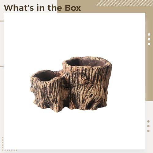 Rustic Concrete Planter, Double Tree Stump Design, 6.7 in, 3.3 in Opening Succulent Pot, Great for Plants and Micro Landscape Outdoor - Image 5