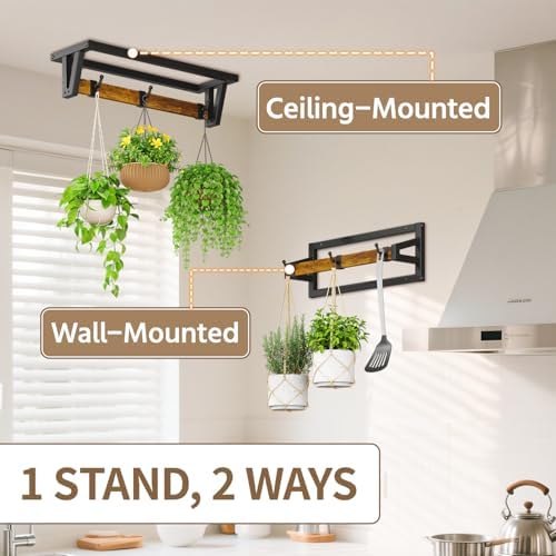 LASZOLA Plant Hanger Holder Shelf Indoor Window Wall Mount, 2 Pack Brown - Image 6