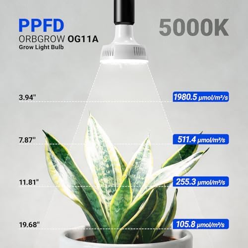 Barrina OG11A Grow Light Bulbs for Indoor Plant, 5000K 11W, 3 Packs, White - Image 2
