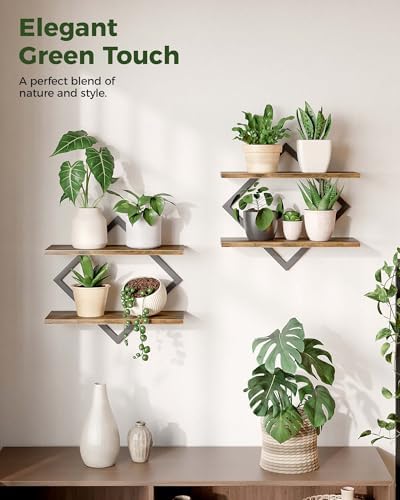 Bamworld Floating Shelves for Wall Planters Indoor Hanging Plant Shelves - Image 6