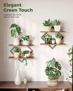Bamworld Floating Shelves for Wall Planters Indoor Hanging Plant Shelves - Image 6