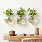 LemonRoad 6 Pcs Wall Hanging Glass Planters, Propagation Station Vases - Image 5