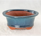 1 Pcs 6.25" Oval Green Stain Bonsai / Succulent Pot + Soil + Tray + Rock + Mesh Kit - Image 2