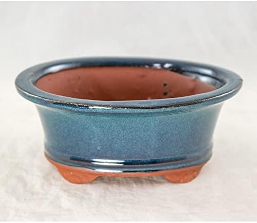 1 Pcs 6.25" Oval Green Stain Bonsai / Succulent Pot + Soil + Tray + Rock + Mesh Kit - Image 2