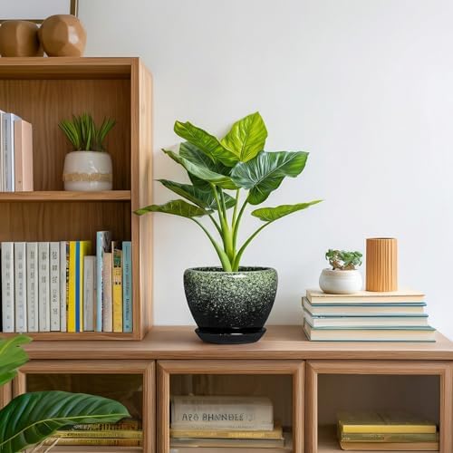 Ceramic Pots for Plants - 6 Inch Plant Pots with Drainage Hole and Saucer, Ceramic Planters for Indoor Plants, Decorative Succulent Pot, Office Decor, Gifts for Plant Lovers, Retro Green - Image 5