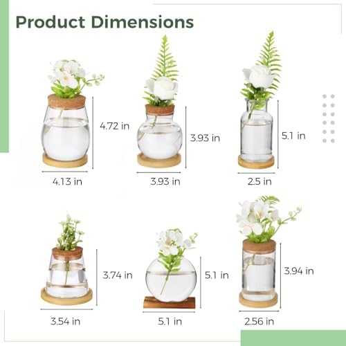6PCS Plant Propagation Station, Desktop Plant Propagation Jars with Wood Lid and Stand, Glass Propagation Vases for Plant Growing, Hydroponic Home, Office Decor (6 Styles) - Image 4