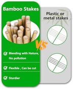 Natural Bamboo Plant Stake（7FT 15Pcs 3/4"） Sturdy Bamboo Poles, Durable Plant Bamboo Stake, Garden Climbing Plant Bracket. - Image 4