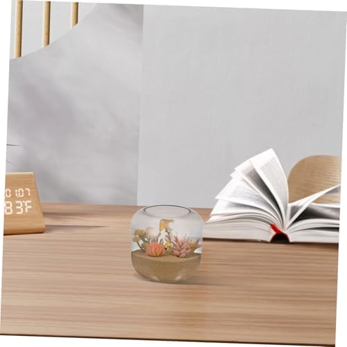 Glass Hydroponic Plant Terrarium for Succulents and Fish - Image 5