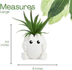Chatelet Cute Egg Shell Planter | Unique Dinosaur Tabletop Indoor or Outdoor Planter Pot | Flowers, Succulents, or Vegetable Pot | Made in USA (Cute Egg, Large) - Image 4