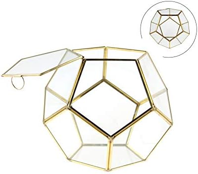 WGV Geometric Planter Terrarium, Width 8.7" Height 7.5" Clear Glass Gold Frame DIY Succulent air Plant Miniature Fairy Garden Windowsill Tabletop Decor, Globe Geode 1 Piece by WGVInternational-OpusGlassware
