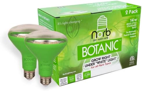 Norb NorbBOTANIC BR30 LED Grow Light – Full-Spectrum Sunlight Bulb for Indoor Plants - 14W Energy-Efficient Grow Lamp for Indoor Houseplants, Herbs, Seedlings & Tropical - E26 Base (2-Pack) by NorbLighting