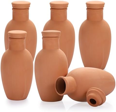 JUXYES 6 Pack Terracotta Self Watering Pots Watering System Planter Spikes by JUXYES