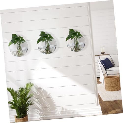 Generic 4pcs Glass Wall Planters for Indoor Plants Decorative Hanging Terrarium Globes Water Holder for Propagation Station and Home Wall Decor - Image 6