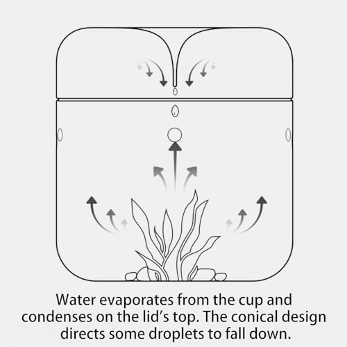SARUFO Small Glass Plant Terrarium 4.7"X7" Inches Succulent Air Planter Fern Moss Micro-Landscape Vase for Home Garden Office Tabletop Decoration Container with Lid Indoor Wardian Copyright Patent - Image 6