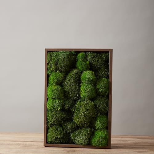 2 Color Mix Pack Preserved Pole Moss Pillow Bun Cushion Natural Decorative Green DIY Kit Art Wall Decor Florist Decor Easter Table Decor Wedding(1.5 sq.ft, Green-A,Green-B) - Image 4