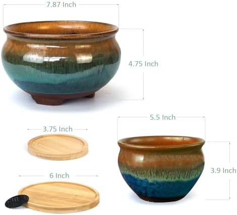 8 and 5.5 Inch Succulent Pot with Drainage and Saucer Glazed Terracotta Round Ceramic Succulent Planter Cactus Bonsai Plant Pot (Brown and Green) - Image 7