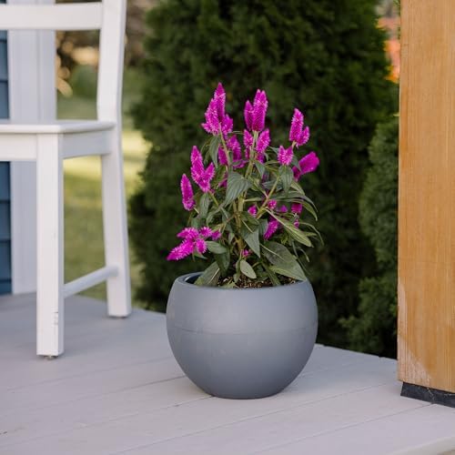 Beuta Large Poly Planters for Outdoor Plants - Set of 3, 8/12/14 Inches Outdoor Planters for Porch - Tall Planter for Outdoor & Indoor Plants | Large Indoor Plant Pot - USA Made - Grey - Image 5