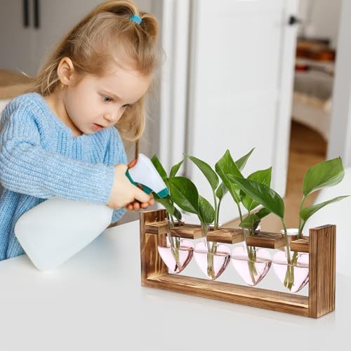 Plant Propagation Stations Heart Plant Terrarium Kit - Image 5