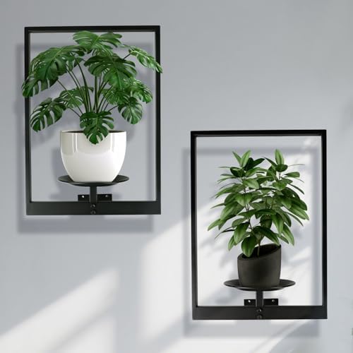 Plant Wall Shelf, Metal Modern Style Frame, Picture Wall Plant Holder, Plant Frames for Living Space Decor Display Stand for Living Room Balcony Garden Patio (2 PACK(BLACK)) by SUNLITOPTO