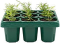 Vego garden Giga Seedling Trays - 4 Pack, 9-Cell UV-Resistant Reusable Starter Trays for Greenhouse/Garden (No Lids) by Unknown