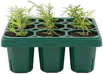 Vego garden Giga Seedling Trays - 4 Pack, 9-Cell UV-Resistant Reusable Starter Trays for Greenhouse/Garden (No Lids) by Unknown