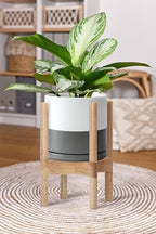 D'vine Dev Ceramic Pot with Natural Wood Stand, White/Grey, 8 in, 55-B-N-6 - Image 6