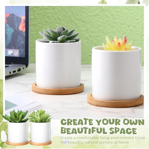 Cindeer 6 Pack Small Succulent Pots 3 Inch Plant Pots with Drainage, White - Image 5