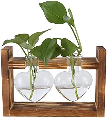 Plant Terrarium with Wooden Stand,Heart Shaped Transparent Glass Vase Flower Pot Hydroponics Plant Propagation Station for Hydroponics Plants Home Office Decor (Retro Box + 2 by Zerodis