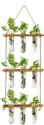 XXXFLOWER 9 Tube Vases Wall Hanging Propagation Station with Wooden Stand+ 9 Blue Tube Vases Wall Hanging Propagation Station with Wooden Stand - Image 2