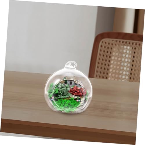 12pcs Glass Globe Terrarium Hanging Planter for Moss Crafts Home - Image 5