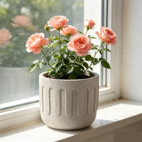 yeyo Elegant Nordic Minimalist Cement Flower Pot Light Luxury Decor Creative and Unique Succulent Plants for Balcony(15x13cm) - Image 7