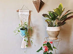 WILD COTTON Fiber Arts Macrame Plant Hanger Indoor Wall Hanging Planter Basket Long Flower Pot Holder Boho Home Decor, 30 Inch - Image 2