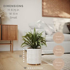 EverNest Honeycomb Gold and White Planter with Wooden Peg Leg Stand, 8-Inch Plant Pot, SelectBase, Mid-Century Modern, Indoor Home Decor Planters (Small, 1 Gallon) - Image 2