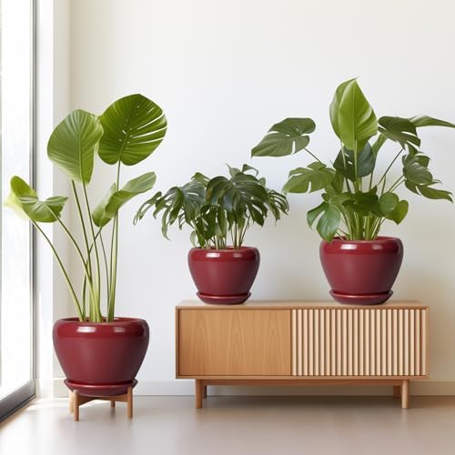 Ceramic Pots for Plants - 10 Inch 8 Inch 6 Inch Plant Pots with Drainage Holes and Saucers Large Planters for Indoor Plants Decorative Outdoor Flower Pots Set of 3 Red - Image 2