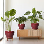 Ceramic Pots for Plants - 10 Inch 8 Inch 6 Inch Plant Pots with Drainage Holes and Saucers Large Planters for Indoor Plants Decorative Outdoor Flower Pots Set of 3 Red - Image 2
