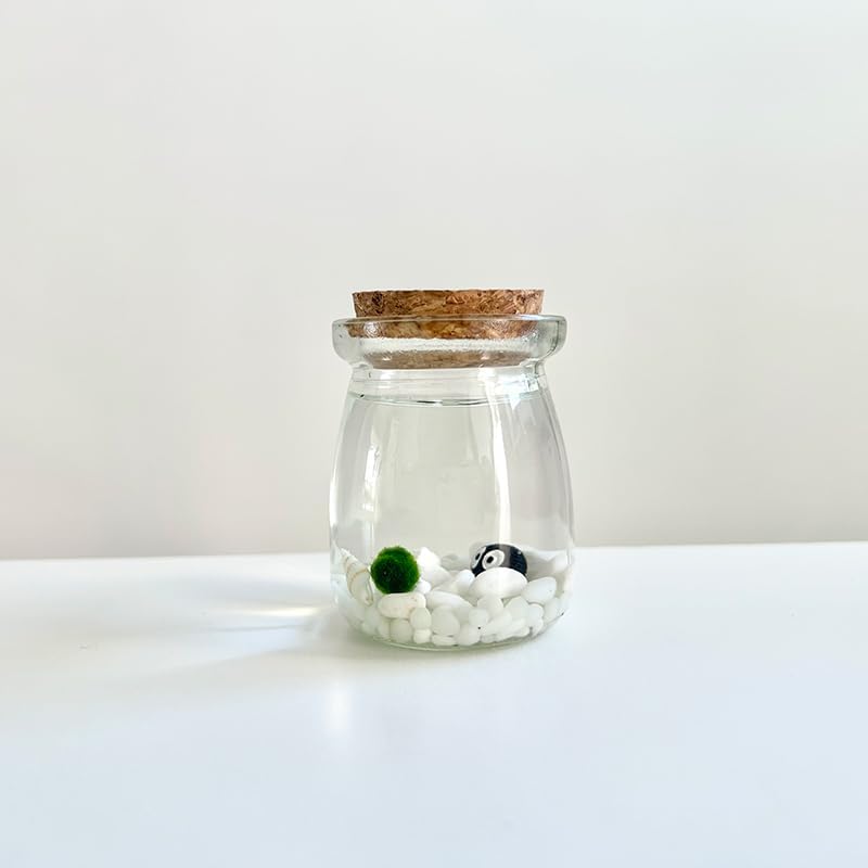 Moss Pet Glass Terrarium Jar Kit with Cork Lid, Mini Desktop Moss Plant Aquarium Decor, Home Ornament Gift by MossArtistry