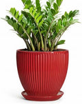 10 Inch Plant Pot, Ceramic Planters with Saucer, Red by Unknown