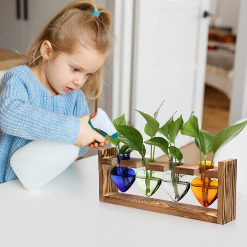 Plant Propagation Stations Heart Plant Terrarium Kit - Image 5