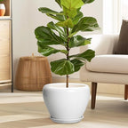 Ceramicfor Ceramic Pot for Plants, 8 Inch Planter, Glossy White - Image 2