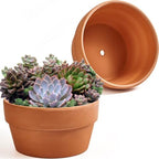 8 Inch Shallow Terracotta Pot for Succulent - 2 Pcs Large Clay Planter Pots with Drainage Hole, Shallow Plant Pottery Pots for Cactus Succulent and Other Indoor Outdoor Plants by NiSevenLiving
