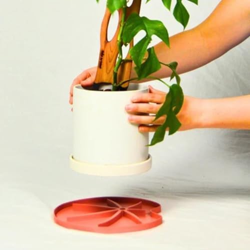 Treleaf Lili Sausr™ – 6" Lily Pad Shaped Plant Saucer & Drip Tray (Set of 4) – Decorative Humidity Tray & Spill Catcher for Indoor Houseplants – 3D Printed Eco-Friendly Design - Green - Image 6