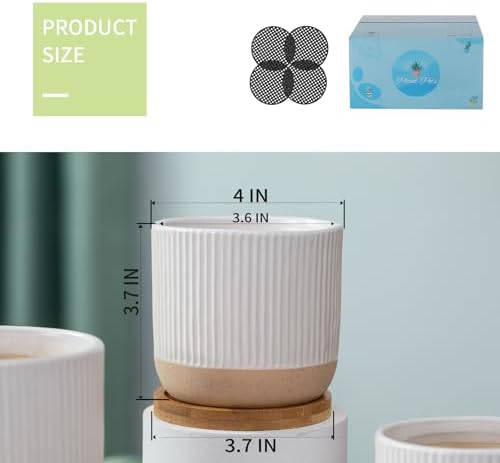 4" White Ceramic Plant Pots with Drainage Holes & Trays Set of 4 - Image 2