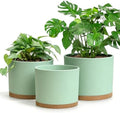 Large Plant Pots Set of 3 – 8", 9", 10" Indoor Flower Pots with Drainage Holes and Saucers, Big Planters for Monstera, Fiddle Leaf Fig, Snake Plant – 5 Colors by Unknown