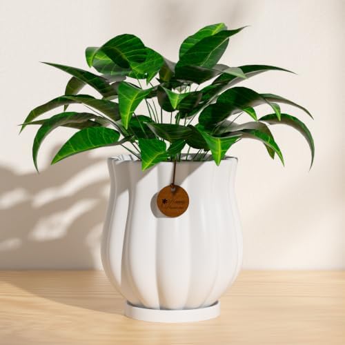 7.1" Matte White Ceramic Plant Pot with Saucer - Image 4