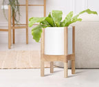 D'vine Dev Plastic Pot with Natural Wood Stand, White, 8 in, 55-C-J-1 - Image 6