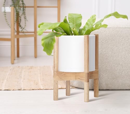 D'vine Dev Plastic Pot with Natural Wood Stand, White, 8 in, 55-C-J-1 - Image 6