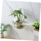 Sosoport 4pcs Wall Planters for Indoor Plants Glass Globe Propagation Station with Rounded Hydroponic Vases Water Plants Holder Decorative Terrarium for Home Office Living Room Decor - Image 7